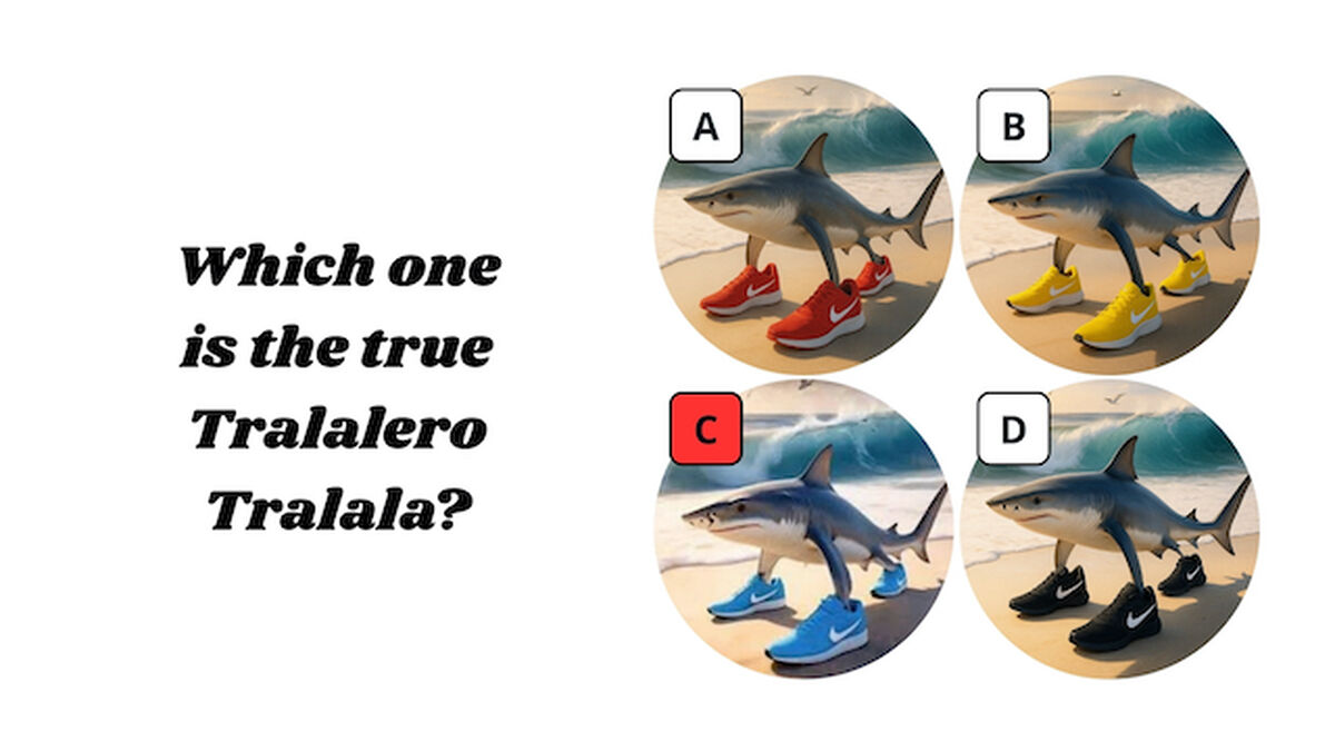 Do You Know Your Italian Brain Rot? image number null